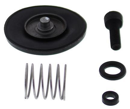 Accelerator pump rebuild kit - pump,